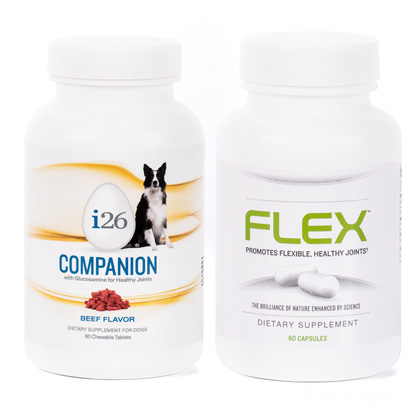 Companion Combo Dog Chewable and Flex