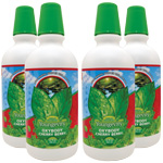 Oxybody™ Cherry Berry Case of 4 - More Details
