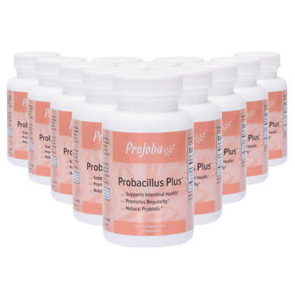 Projoba Probacillus - 12 Pack